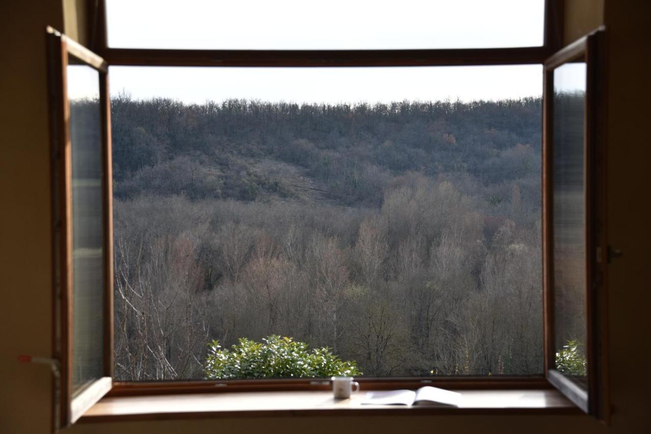 Вилла Les Collines Du Quercy Blanc Кастельно-Монратье Экстерьер фото